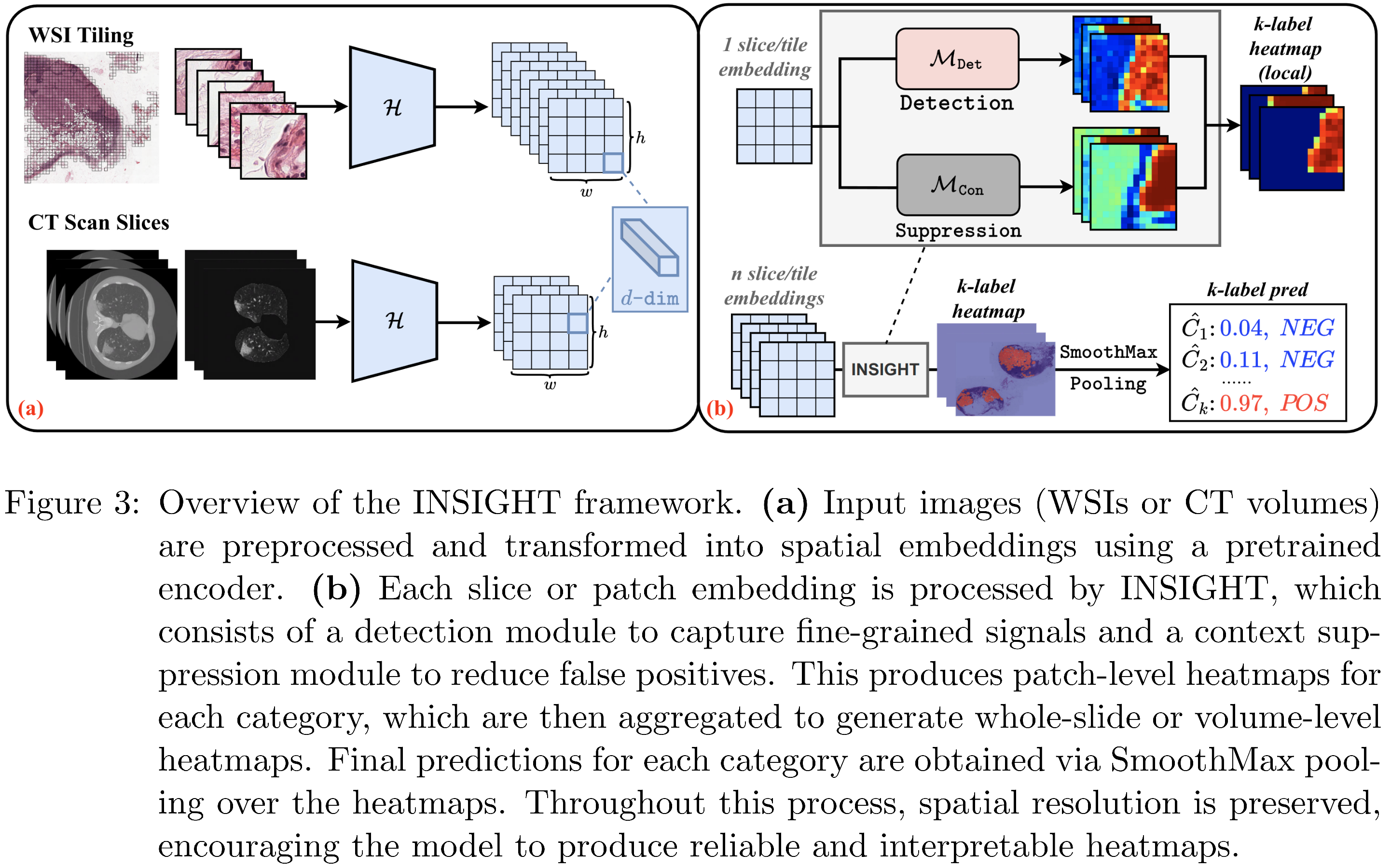 INSIGHT: Explainable Weakly-Supervised Medical Image Analysis teaser
